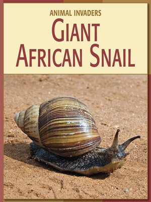 cover image of Giant African Snail